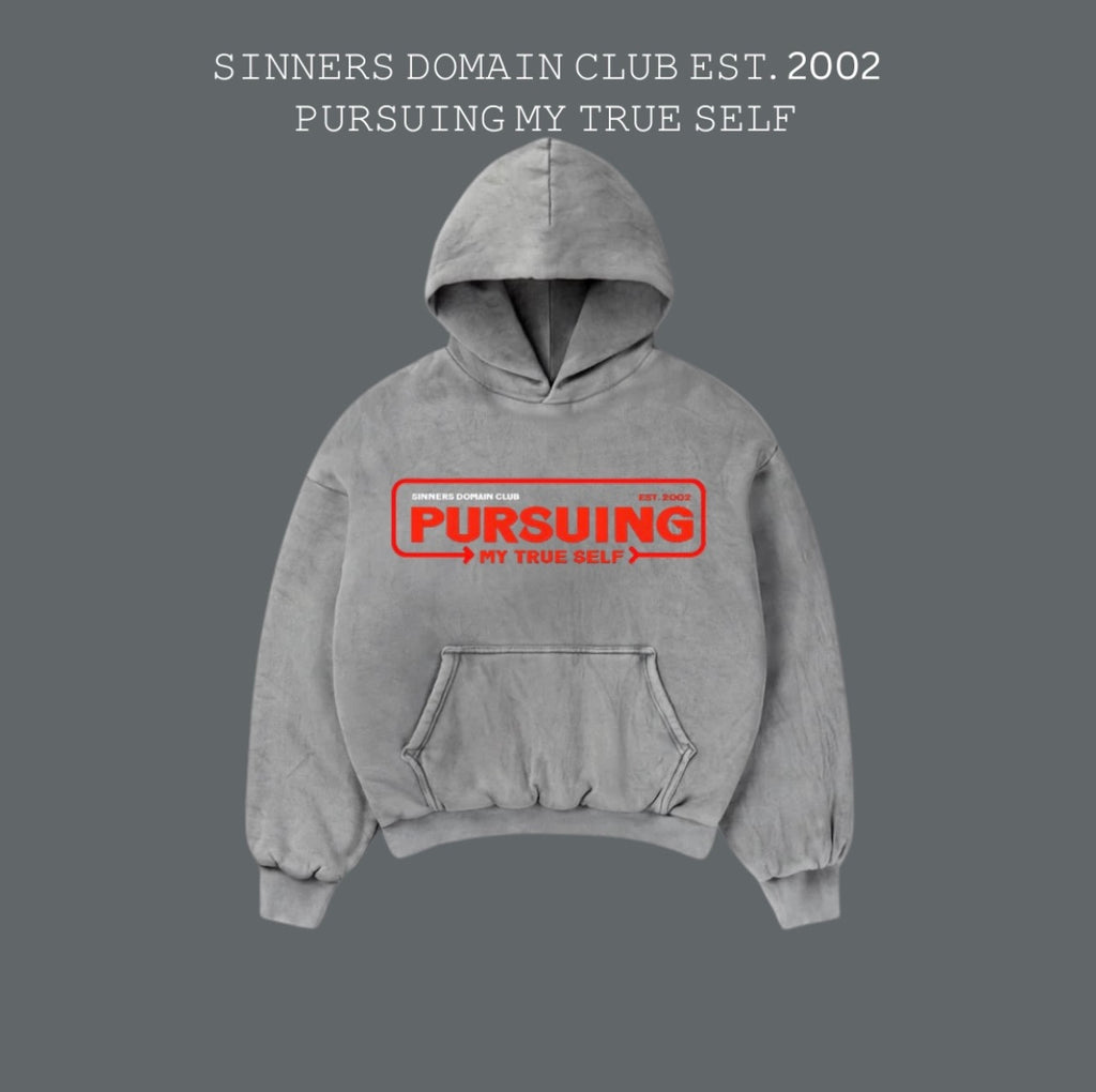 "Sinner Domain Club" Hoodie