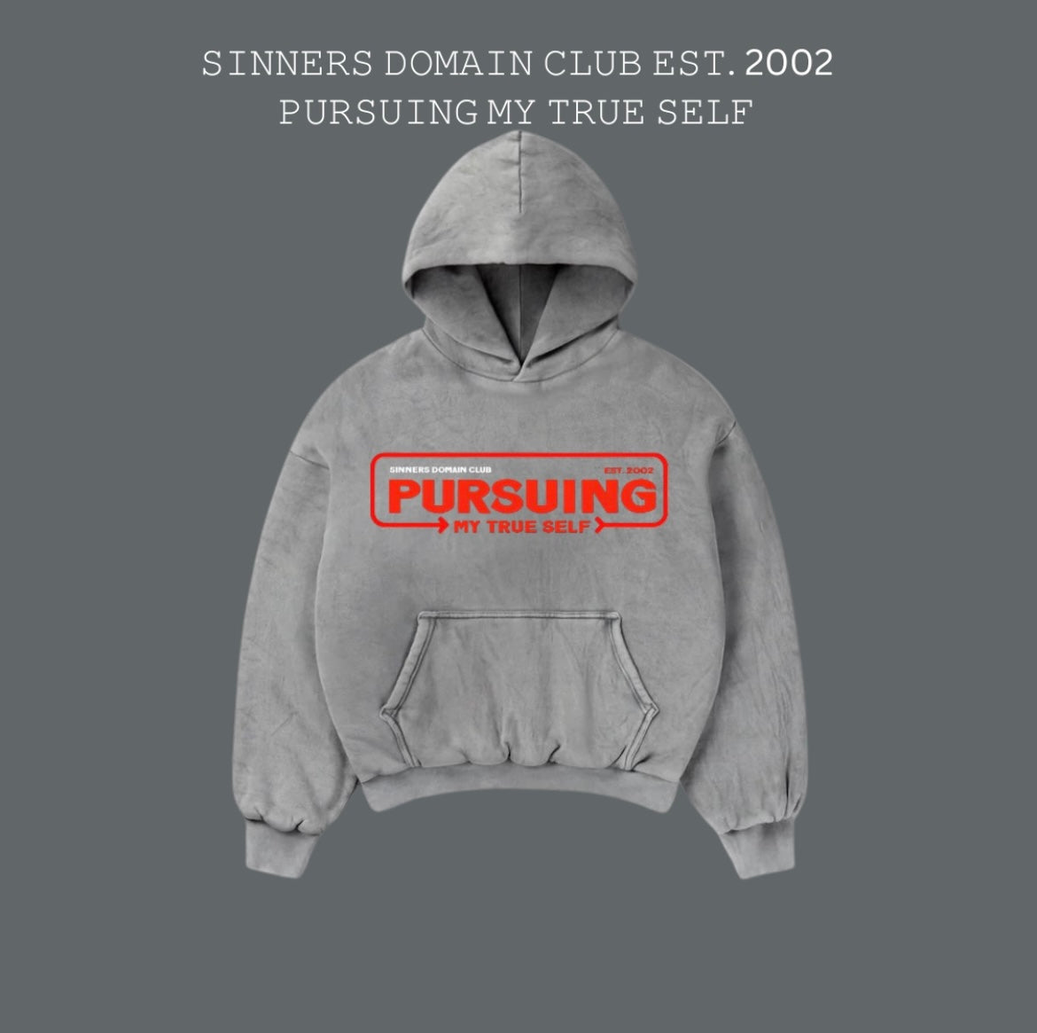 "Sinner Domain Club" Hoodie